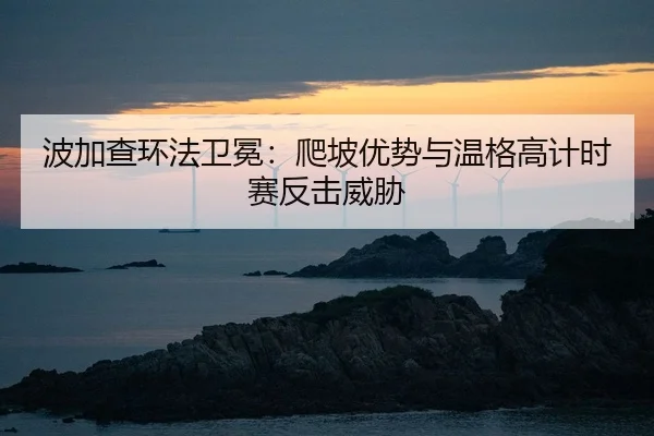 bo-jia-cha-huan-fa-wei-mian-pa-po-you-shi-yu-wen-ge-gao-ji-shi-sai-fan-ji-wei-xie-2-831.jpg