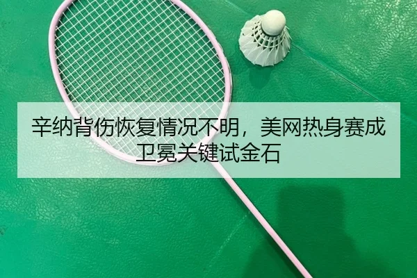 xin-na-bei-shang-hui-fu-qing-kuang-bu-ming-mei-wang-re-shen-sai-cheng-wei-mian-guan-jian-shi-jin-shi-3-830.jpg