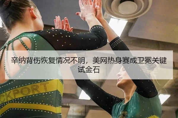 辛纳背伤恢复情况不明，美网热身赛成卫冕关键试金石