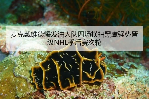 麦克戴维德爆发油人队四场横扫黑鹰强势晋级NHL季后赛次轮
